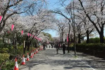 Sumida Park