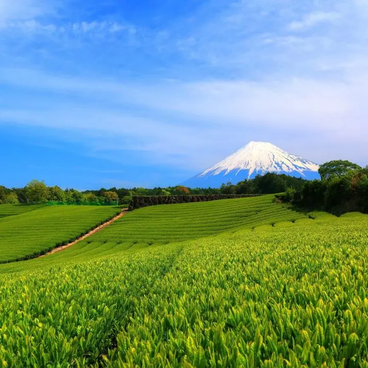 Green Destinations in Japan - Things to Do - Japan Travel