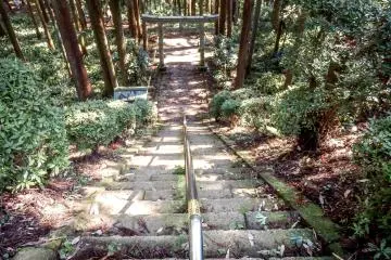 The homeward path
