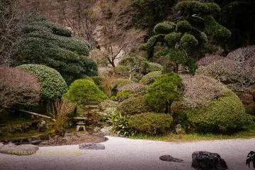 Backdrop to the zen sand garden