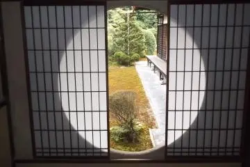 Looking out onto the garden