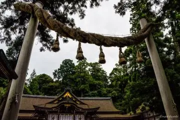 Omiwa Shrine