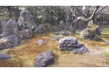 The garden at the rear of the main hall