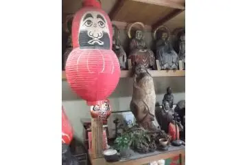 A fraction of the Darumas on the premises