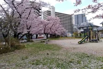 A small playground will keep the little ones happy