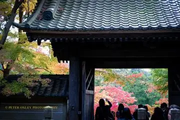 Autumn colors at the entrance to Engakuji Temple.