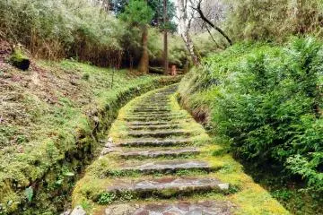 Entrance to Hakone Park