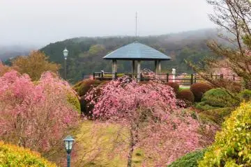 Hakone Park Observation Deck