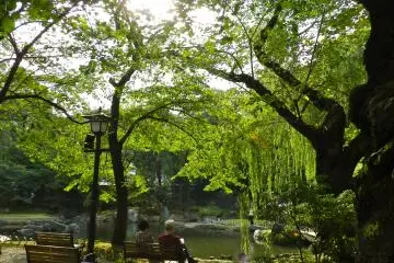 <p>Le jardin derri&egrave;re le temple est un spot reposant pour s'asseoir et penser</p>