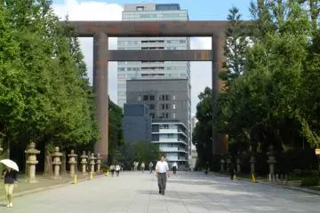 <p>L'all&eacute;e principale</p>