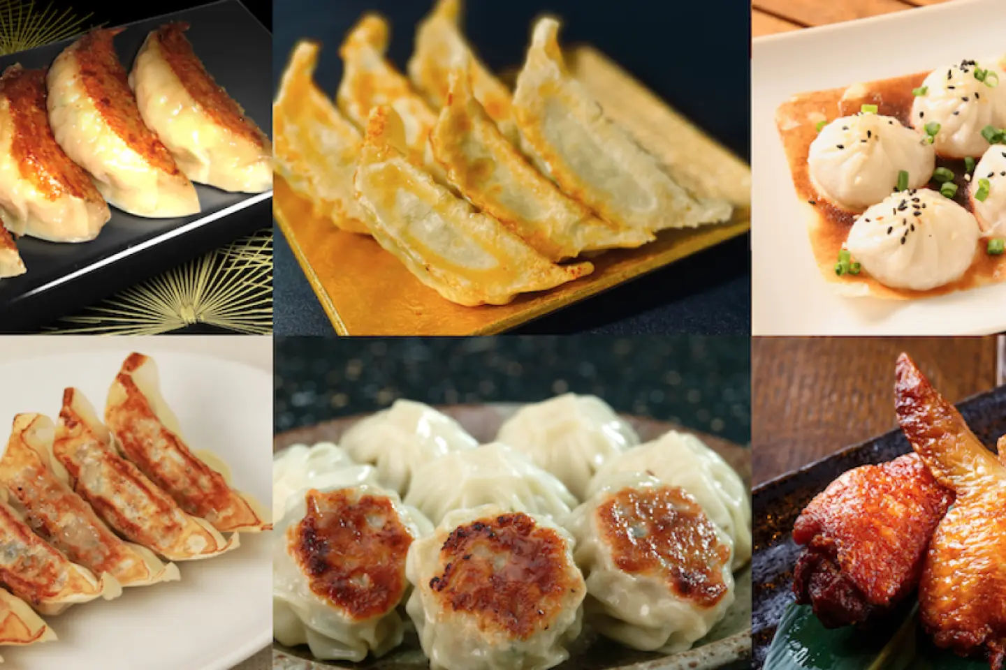 The event will include various gyoza types with different fillings and preparation styles (Photo: LAF Entertainment Co., Ltd.)