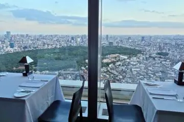 Breathtaking view of Tokyo taken in the early evening