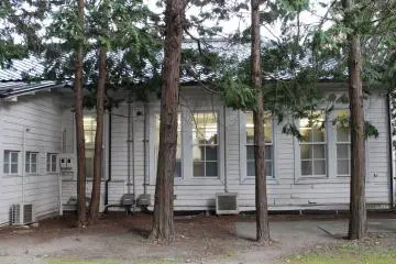 The thin vertical trees against horizontal wooden planks create pleasing line aesthetics on the western edge of building.