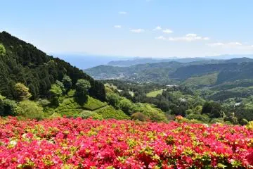Photo: <a href="https://prtimes.jp/main/html/rd/p/000000276.000034888.html" target="_blank" rel="noreferrer noopener nofollow">Seibu Landscape Co., Ltd.</a>