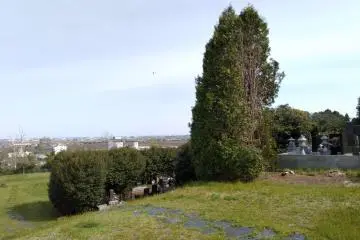 A cemetery, a private plane, and the ocean on the horizon.