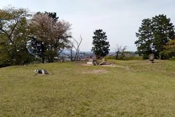 The top of the mound.