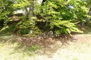 Buddhist stone tablets sit quietly under the tree branches.