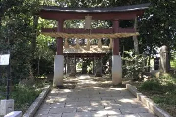 Gallery image