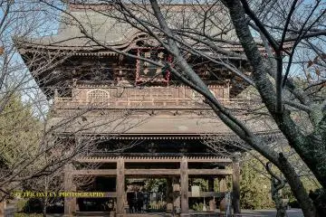 The main gate, the Sanmon.