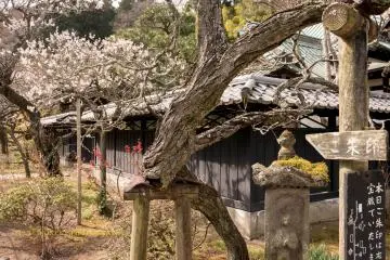 Kamakura Camera  -  Tokeiji