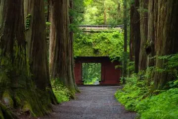 户隐神社&户隐山