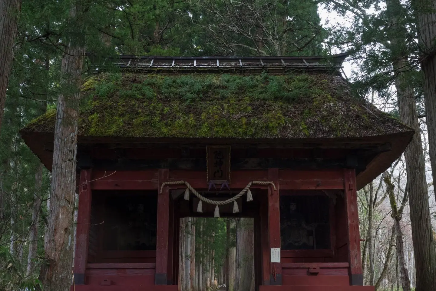 Photo: wakaba-shinshu / CC BY 2.0