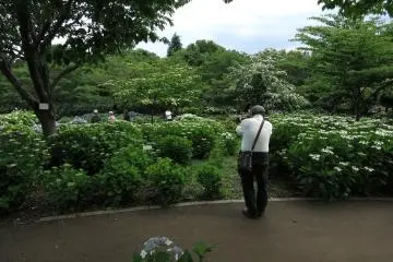 Sagamihara Kita Park