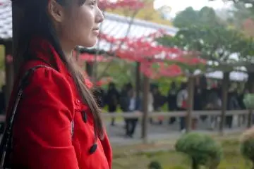 การสงบนิ่งในวัดที่วุ่นวาย