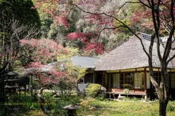 The Shoin (priests' quarters). 