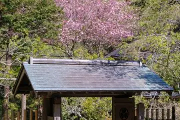 A gate within the grounds.