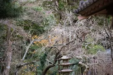 Temple gardens.