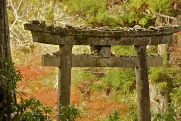 <p>La parc Momiji-dani (&laquo; La vall&eacute;e aux &eacute;rables&nbsp;&raquo;) &agrave; Miyajima</p>