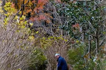 Gardener at work, autumn.