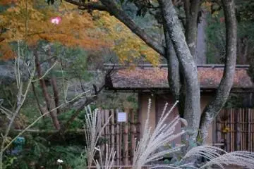 The teahouse amidst autumn colors.