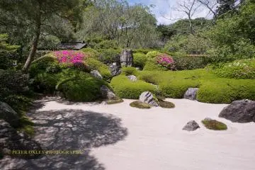 Dry Zen sand garden.