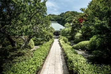 After passing under the Sanmon you will see a long path leading up to the “Hon-do” or main prayer hall