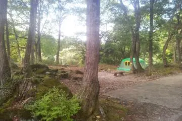 A tent in a forest clearing