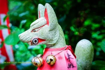 Kamakura Camera - Sasuke Inari
