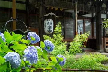 Photo: <a href="https://prtimes.jp/main/html/rd/p/000000036.000060403.html" target="_blank" rel="noreferrer noopener nofollow">Tama Ward, Kawasaki City</a>