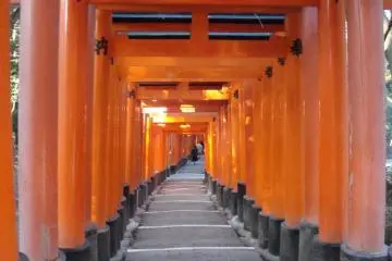 Getting to Know: Fushimi Inari Taisha