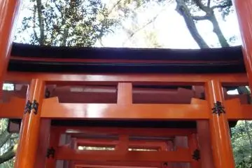 Senbon Torii.