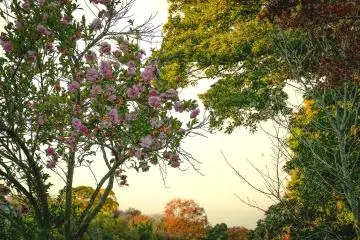 Hilltop scenery