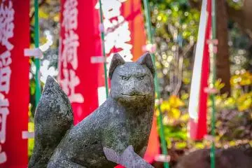 A stone fox