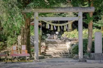 The torii, entrance to the shrine
