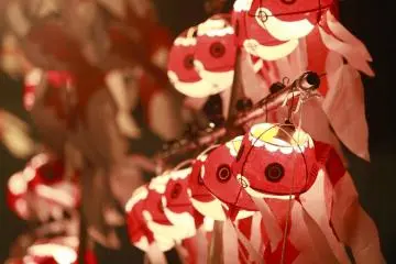 Yanai Goldfish Lantern Festival 2026