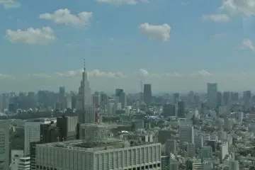 Sweeping Views of Tokyo City Hall