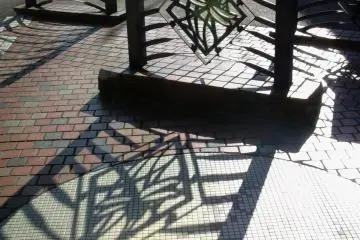 Dragonfly bridge railing