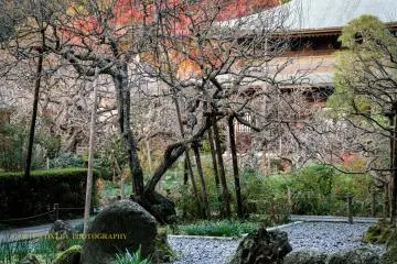 The strolling garden at the front of the main hall