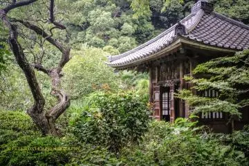 Jizo Hall dedicated to Dokomoko Bosatsu