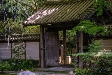 The temple gates